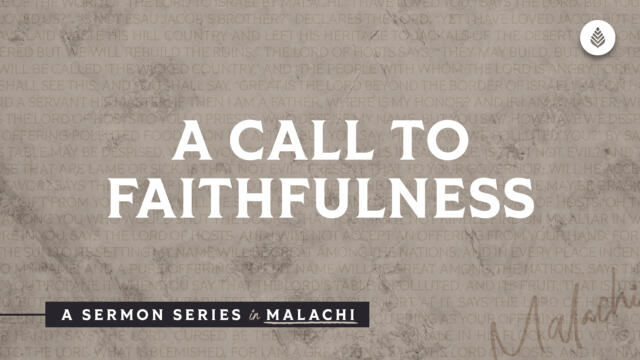 Bay Leaf Messenger 2023 12 3 23