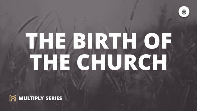 Bay Leaf Multiply 2023 10 1 23