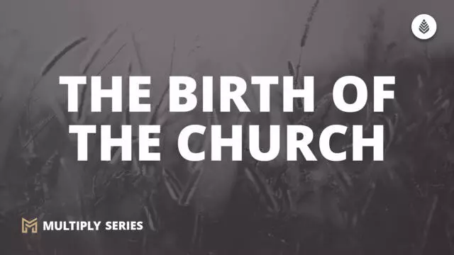 Bay Leaf Multiply 2023 10 1 23