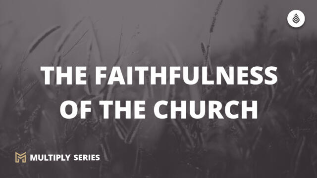 Bay Leaf Multiply 2023 11 5 23