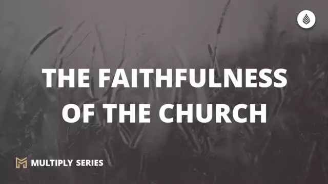 Bay Leaf Multiply 2023 11 5 23