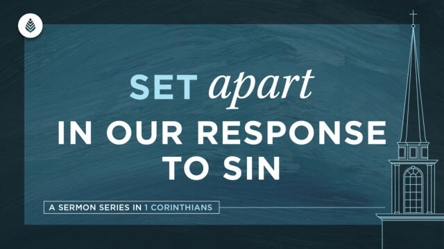 Bay Leaf Set Apart 2024 2 11 24