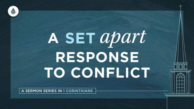 Bay Leaf Set Apart 2024 2 18 24