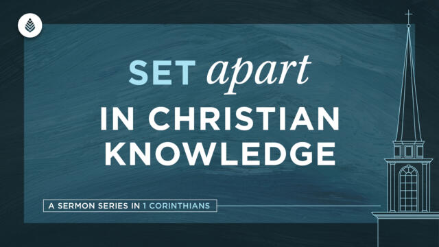 Bay Leaf Set Apart 2024 3 17 24