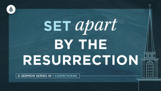 Bay Leaf Set Apart 2024 6 16 24