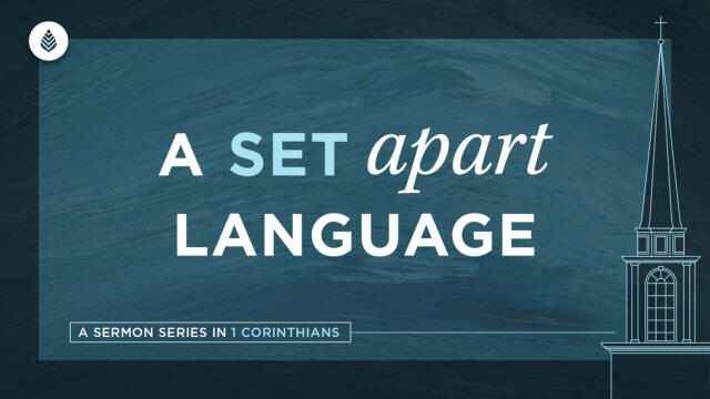 Bay Leaf Set Apart 2024 6 2 24