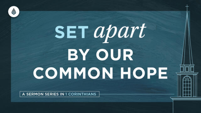 Bay Leaf Set Apart 2024 6 23 24