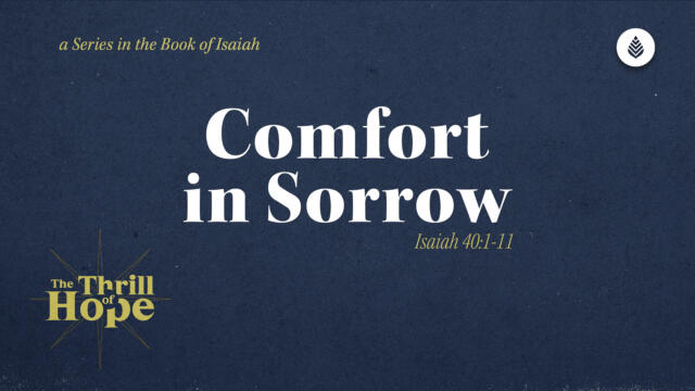 Bay Leaf Thrill of Hope 11 30 25