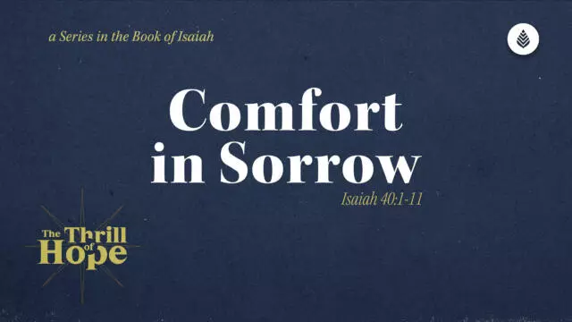 Bay Leaf Thrill of Hope 11 30 25