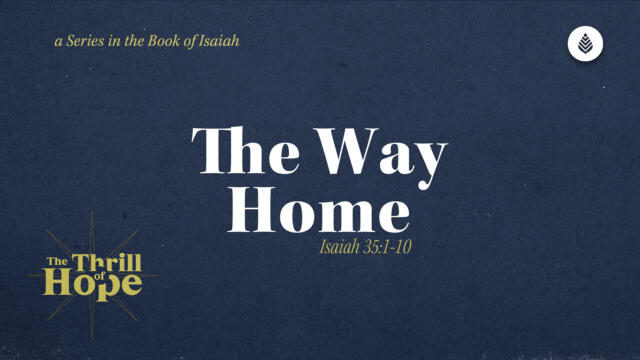 Bay Leaf Thrill of Hope 12 21 25