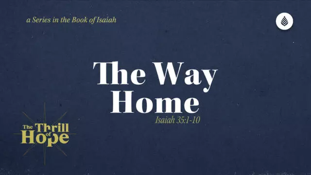 Bay Leaf Thrill of Hope 12 21 25