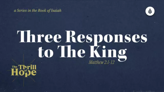 Bay Leaf Thrill of Hope 12 28 25