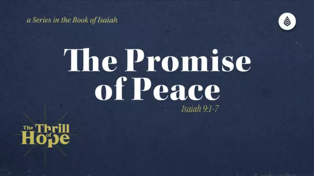 Bay Leaf Thrill of Hope 12 9 25