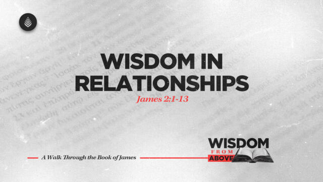 Bay Leaf Wisdom From Above 10 12 25