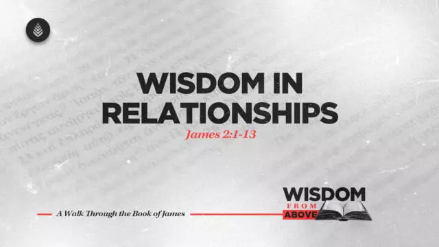 Bay Leaf Wisdom From Above 10 12 25