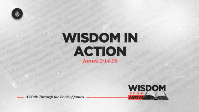 Bay Leaf Wisdom From Above 10 19 25