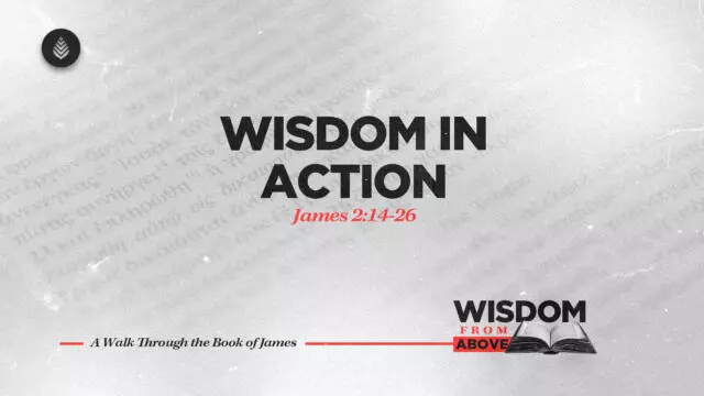 Bay Leaf Wisdom From Above 10 19 25