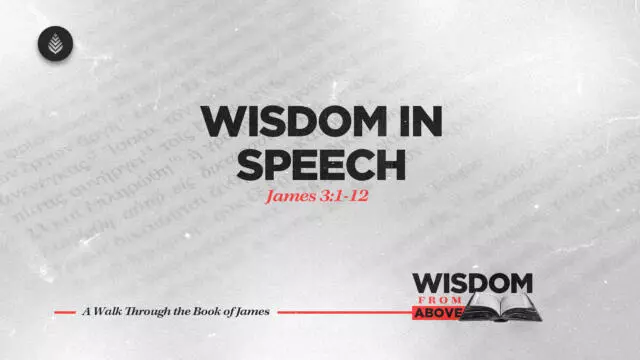 Bay Leaf Wisdom From Above 10 26 25