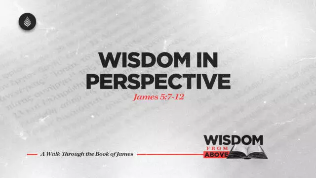 Bay Leaf Wisdom From Above 11 16 25