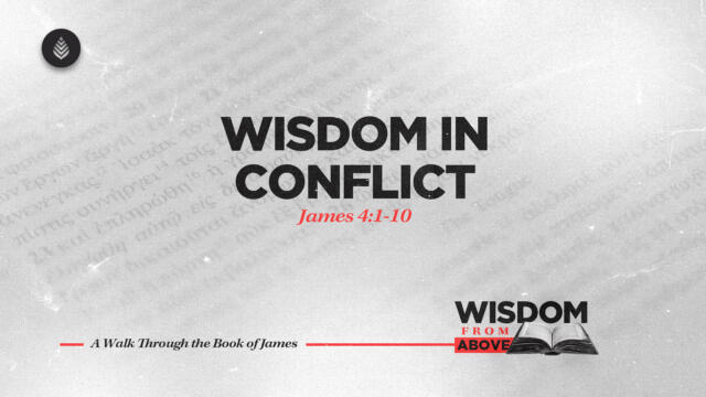 Bay Leaf Wisdom From Above 11 2 25