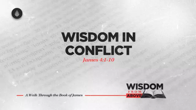 Bay Leaf Wisdom From Above 11 2 25