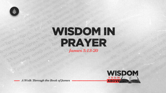 Bay Leaf Wisdom From Above 11 23 25