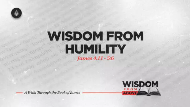 Bay Leaf Wisdom From Above 11 7 25