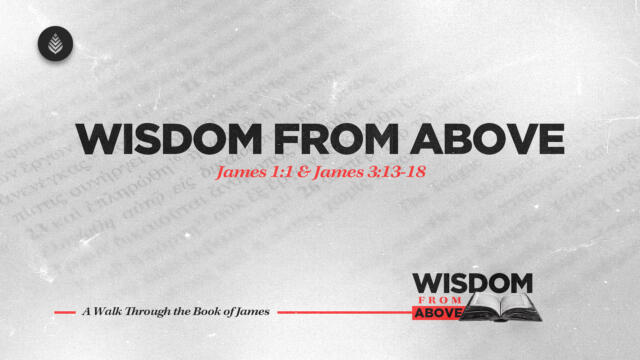 Bay Leaf Wisdom From Above 9 14 25