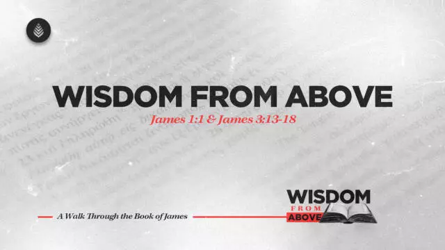 Bay Leaf Wisdom From Above 9 14 25