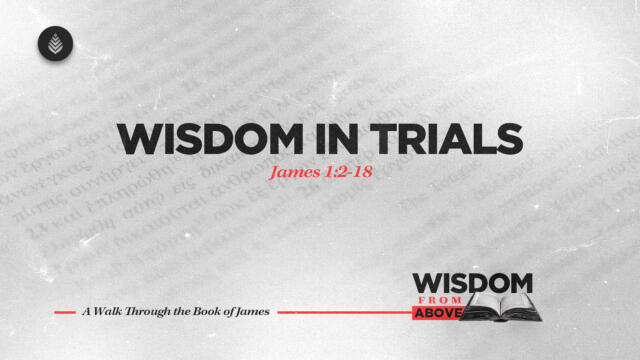 Bay Leaf Wisdom From Above 9 21 25