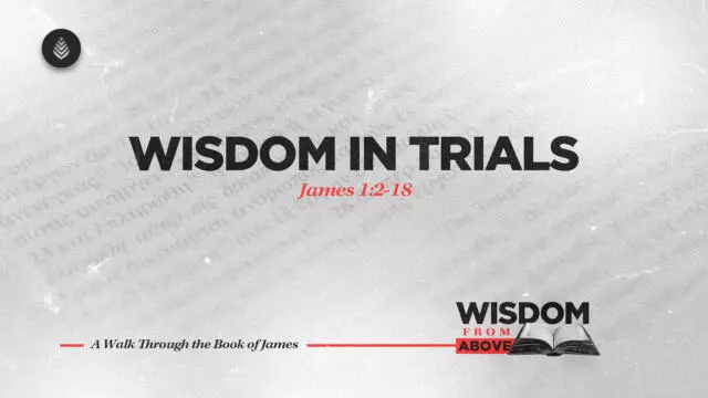 Bay Leaf Wisdom From Above 9 21 25