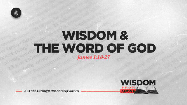 Bay Leaf Wisdom From Above 9 28 25