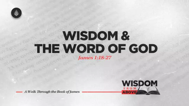 Bay Leaf Wisdom From Above 9 28 25